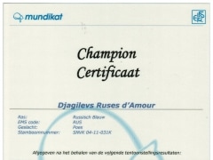 Kampioens certificaat Djagilevs Ruses d'Amour.jpg