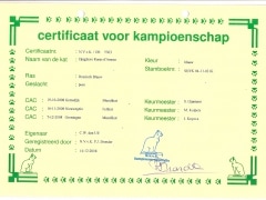 Kampioens certificaat Djagilevs Ruses d'Amour.jpg