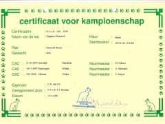 Kampioens certificaat Eva.jpg
