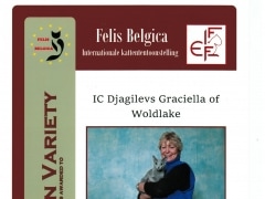november 2014 BIV Felis Belgica.jpeg